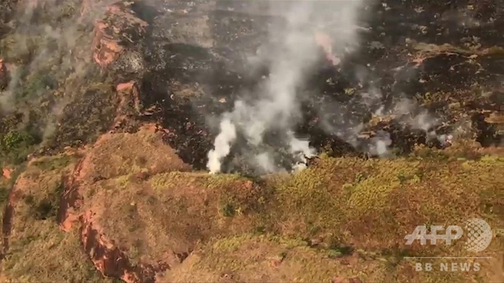 動画：伐採拡大するなか森林火災が急増、ブラジル・アマゾンの熱帯雨林