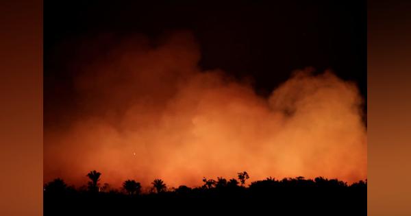 ブラジルのアマゾン熱帯雨林で火災が急増、国際社会が懸念