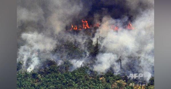 アマゾン森林火災、2日間で新たに1663件 土地の伐開で事態悪化か