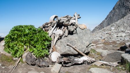 ヒマラヤの奥深く、500人の人骨が散らばる湖「スケルトン・レイク」の深まる謎 | 死亡時期も人種もバラバラな遺体がなぜ一箇所に？
