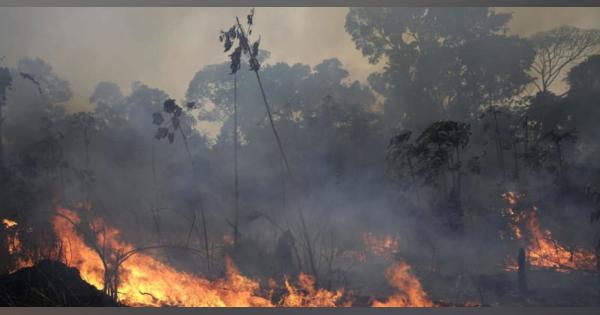 ブラジル、G7の緊急支援を拒否　アマゾン火災で