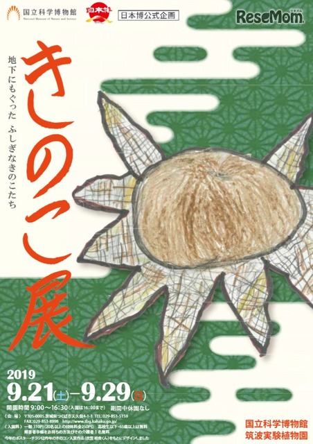 科博、筑波実験植物園「きのこ展」9/21-29
