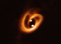 紐の結び目状をした星周円盤に囲まれた若い連星系を発見　アルマ望遠鏡