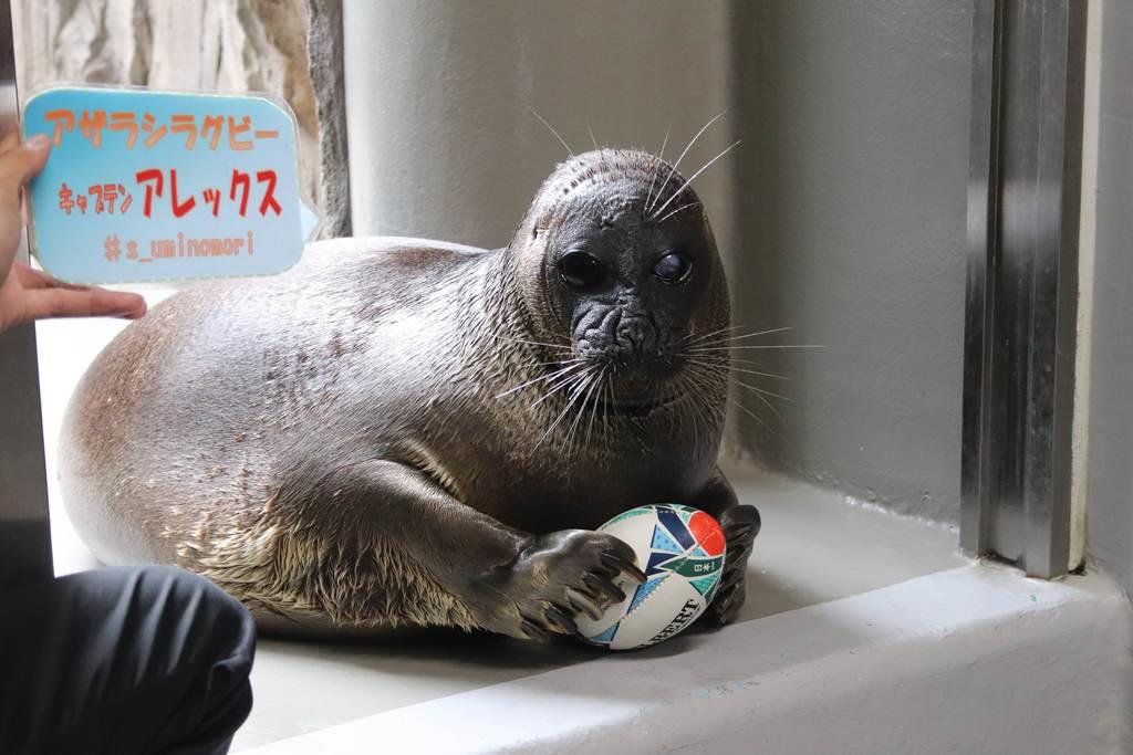 4285262?blur=false&height=630&