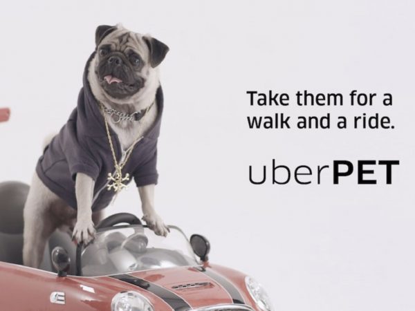 Uberがペットと一緒に乗車できる新オプション「Uber Pet」を試験展開へ