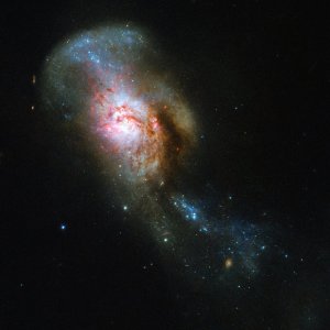 衝突合体銀河の中心にあるメデューサの目