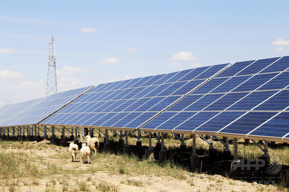太陽光発電と砂漠の緑化 「ソーラー羊」のいる青海・海南チベット族自治州