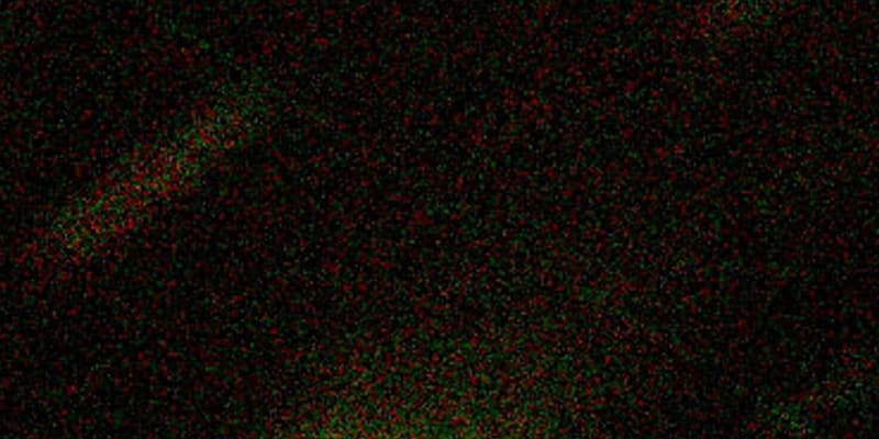 「ボリソフ彗星」の尾を撮影　太陽系外から飛来