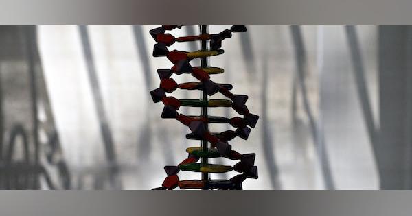 米医学誌「寿命短縮」論文を撤回　ゲノム編集双子の遺伝子