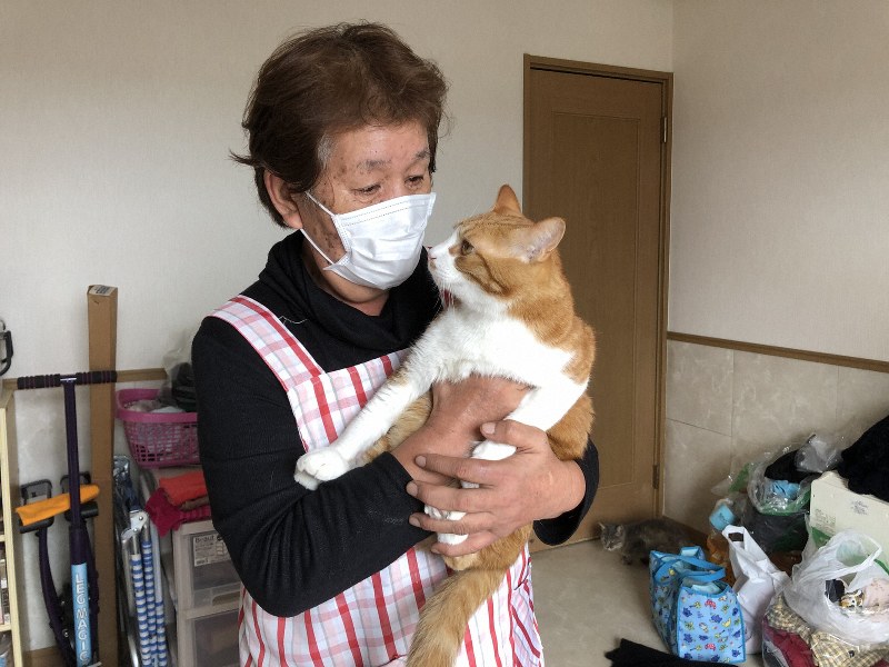 愛猫モコちゃん もう二度と離さない 不明 再会その後 ますます募るいとしさ 台風被害の福島いわき