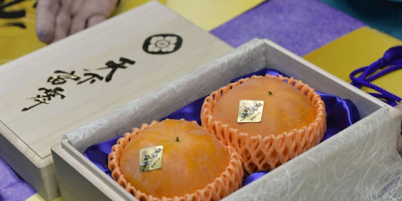 岐阜の高級柿、2個70万円　天下富舞の最高等級「天下人」
