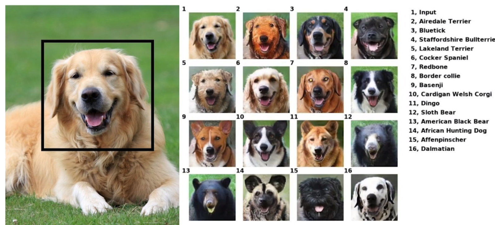 Nvidia、ペットの表情を他の動物画像に移植するAI技術を開発