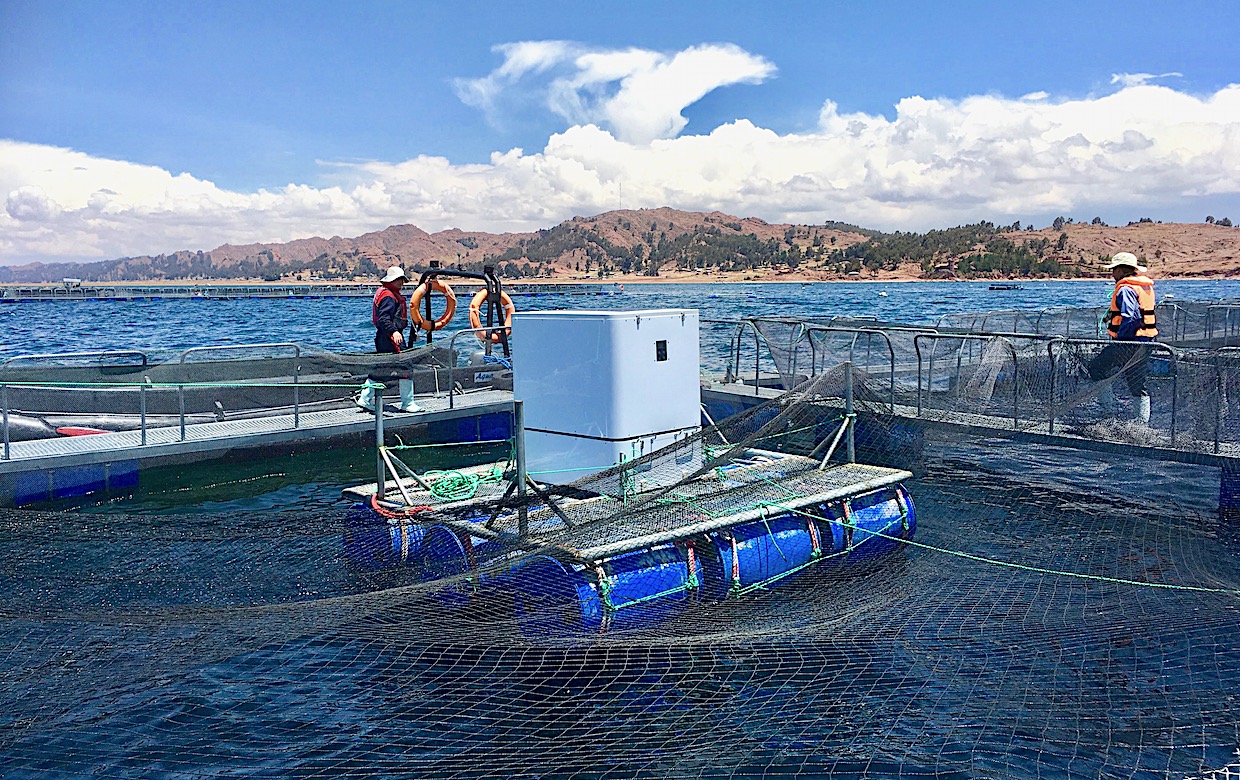 水産養殖技術のウミトロン、チチカカ湖でAI給餌機「UMITRON CELL」の設置を開始——サーモントラウト養殖の効率化で地域経済活性化を狙う