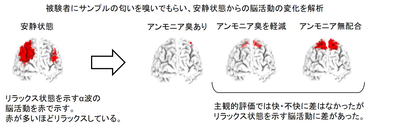 日本ロレアル研究所世界初、無意識下で匂いが心身に及ぼす影響を脳科学研究により解明