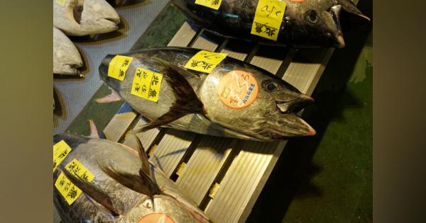 東京・足立市場は穴場スポットだった…安くて極上の「市場めし」、築地の魚河岸的ノスタルジー