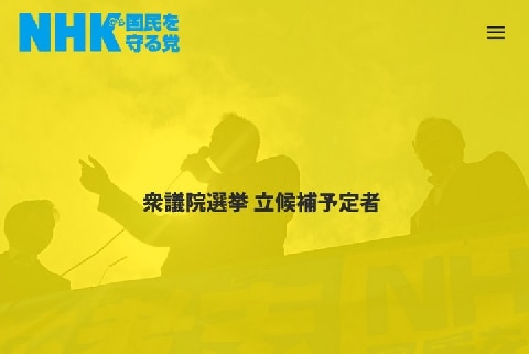 N国 女性候補者の 下着姿 を載せて物議 選挙ポスターにも使えるのか