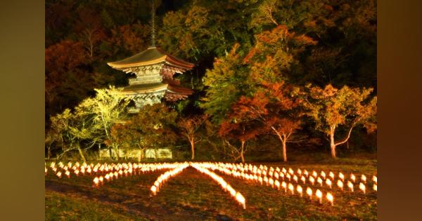 地元産竹で灯籠、紅葉に彩り　京都・金剛院でライトアップ