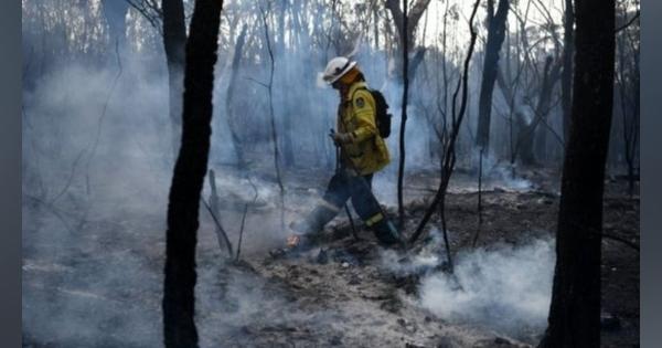 オーストラリアの森林火災、シドニー郊外まで火の手迫る - BBCニュース