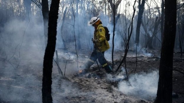 オーストラリアの森林火災、シドニー郊外まで火の手迫る - BBCニュース