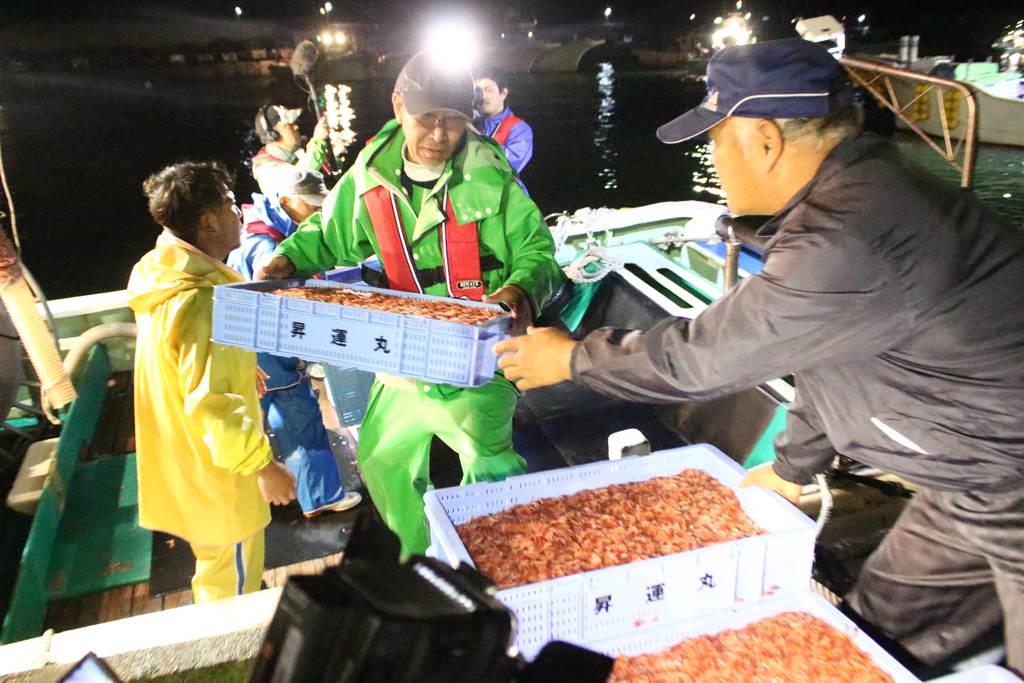 【深層リポート】駿河湾だけのサクラエビが大不漁　加工業者４割が廃業検討の衝撃