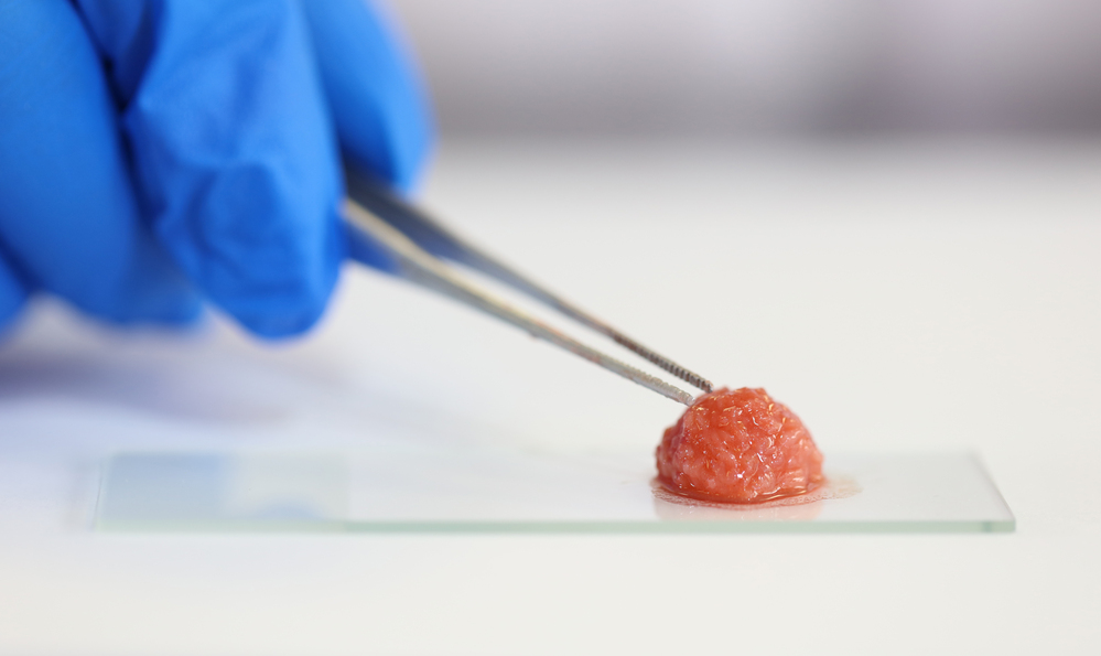 中国の科学者、筋肉幹細胞による「培養肉」を開発