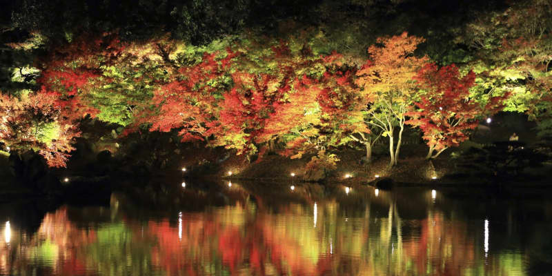 栗林公園で紅葉のライトアップ 幻想的な情景 高松