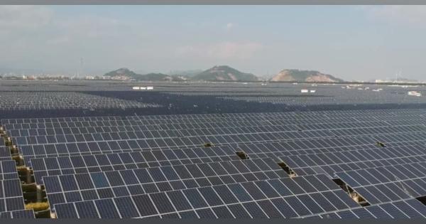 太陽光をシェアして発電事業と農業を両立　浙江省楽清市