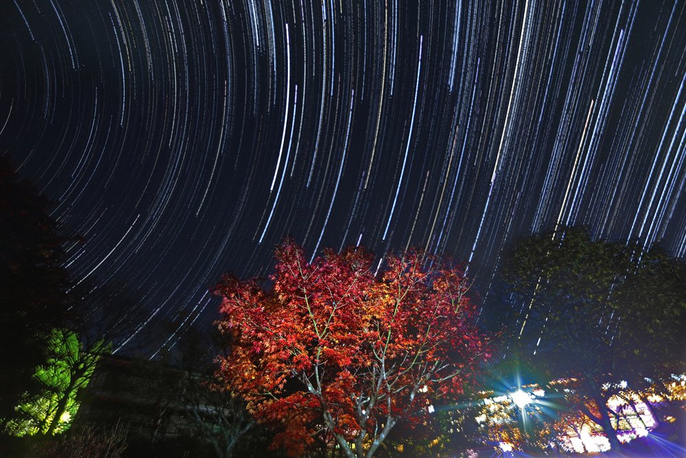 星の光跡 紅葉と共演 京都 花背山の家 秋のしらべ