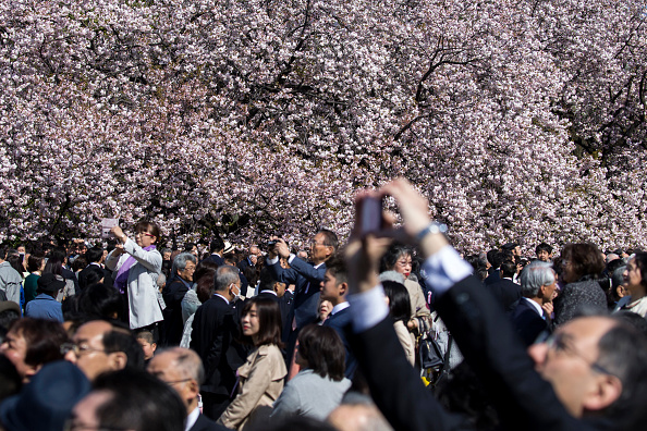 「桜を見る会」問題で安倍首相を刑事告発…検察が忖度する可能性