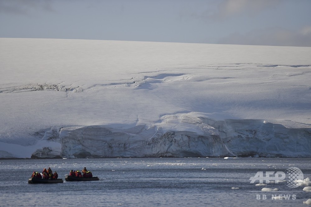 侵入生物種、気候変動に乗じて南極に定着 研究