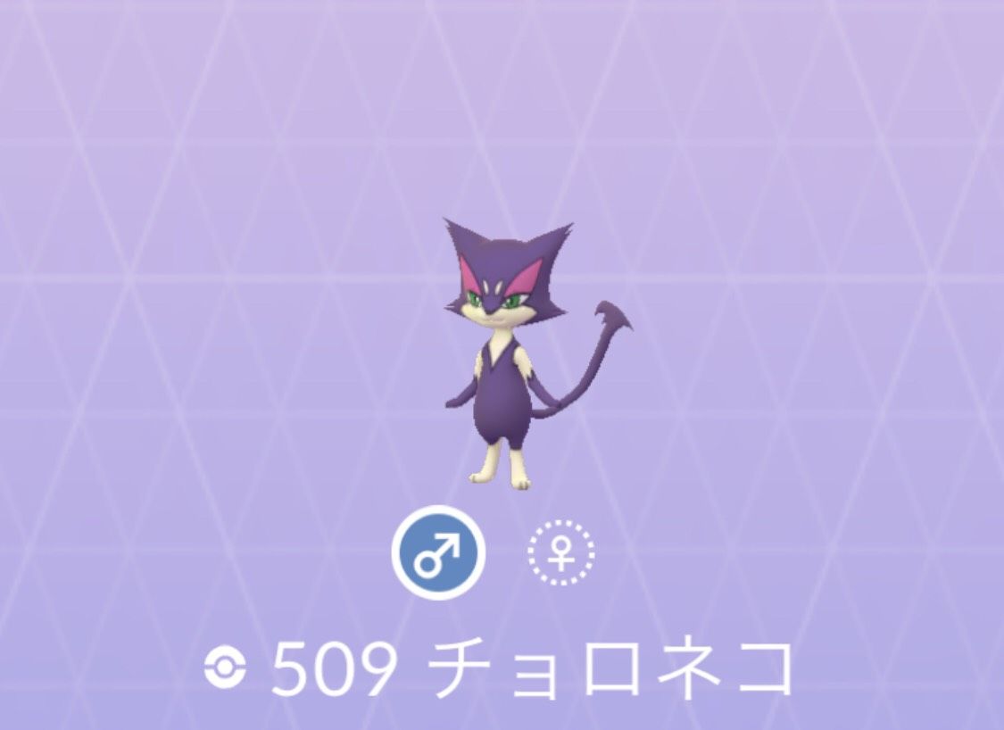 ポケモンgo No 509 チョロネコ入手方法 色違いと弱点 対策 大人のポケモン再入門ガイド