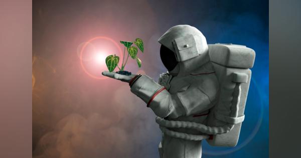 宇宙空間に近い環境下で「植物の増殖」に成功、キリンHDら産学連携の共同研究