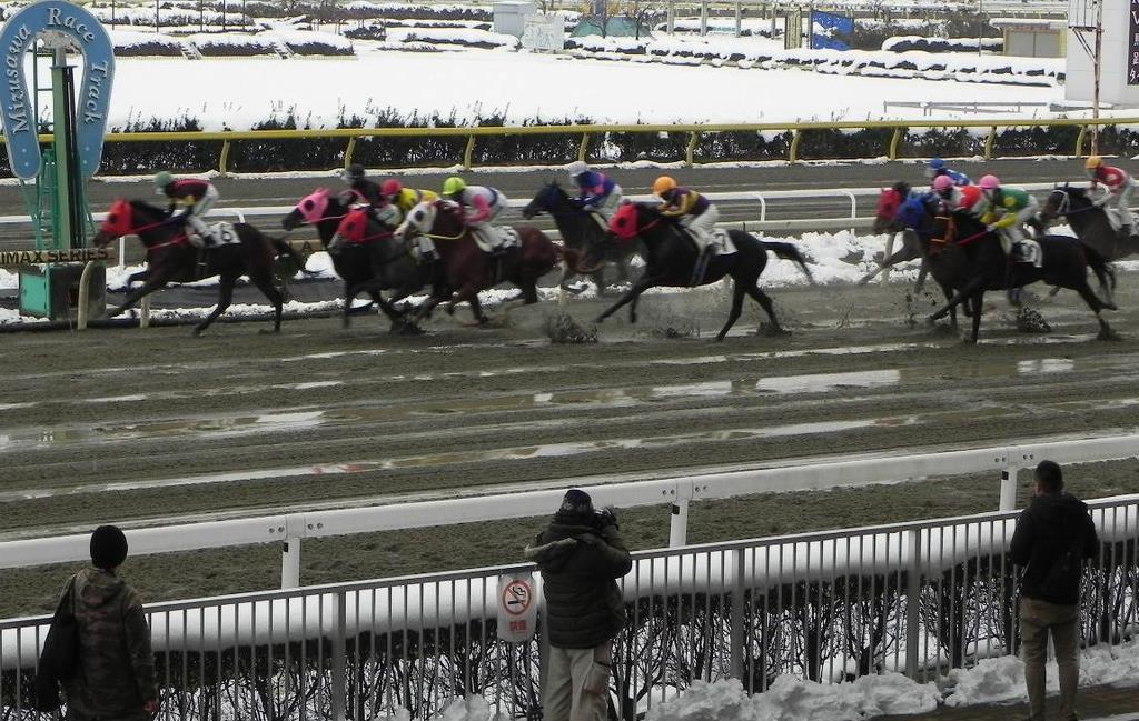 禁止薬物で開催中止の岩手競馬、水沢競馬場で再開