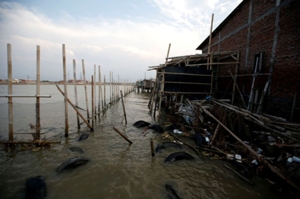 アングル：環境破壊と温暖化のダブルパンチ、洪水に苦しむジャワ住民 - ロイター