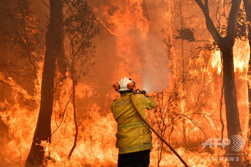 大規模森林火災の豪東部、有害な煙霧に覆われる