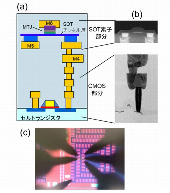 東北大学、SOT-MRAMセルの動作実証に成功