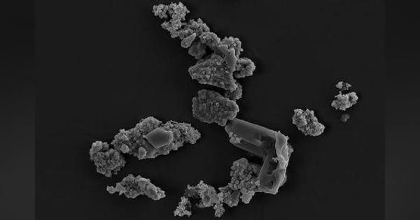 地球外からやってきた隕石を食べる古細菌が発見される