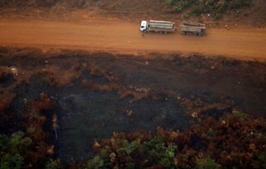 アングル：アマゾン森林破壊、レアル下落と低金利で拍車 - ロイター