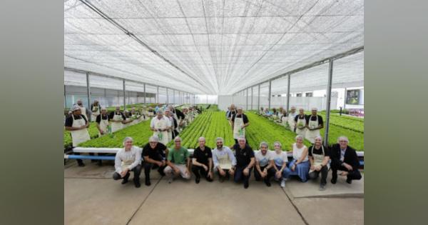 メルセデス・ベンツがブラジルの工場内に初の都市型農場を開設