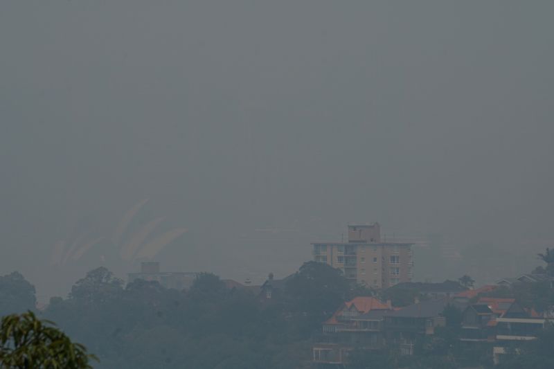 大規模森林火災で豪ＮＳＷ州が再び非常事態宣言、煙霧シドニー覆う