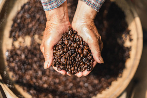 コーヒー豆を取り巻く脅威が拡大、価格不安定化の要因に
