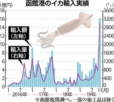 イカ輸入額過去最高　１１月函館港　不漁でロシア産増