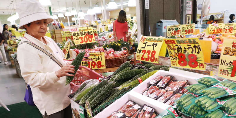 11月スーパー売上高1.4％減　消費税増税の反動減続く