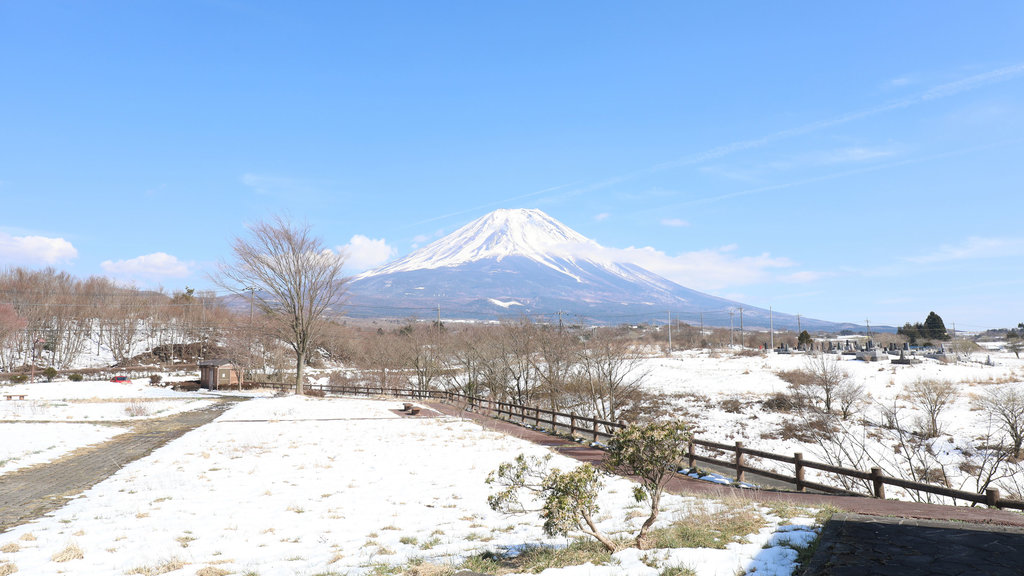 なぜオウムも創価学会も"富士山"に集結したか - 日本一の山の麓は｢宗教都市｣だった
