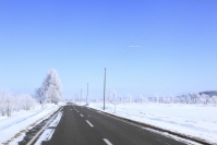 12月は交通事故件数が急増! 冬場を安全に走行するドライブテクニック