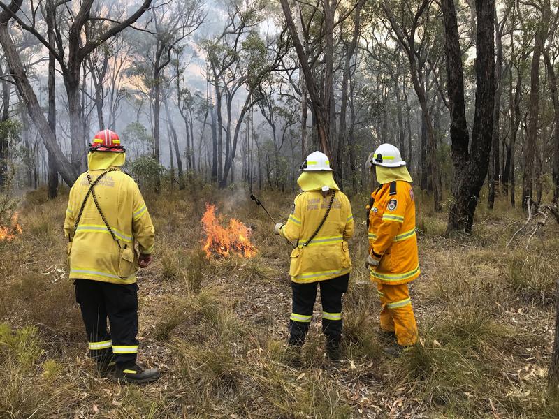 オーストラリア森林火災、クリスマス返上で消火活動