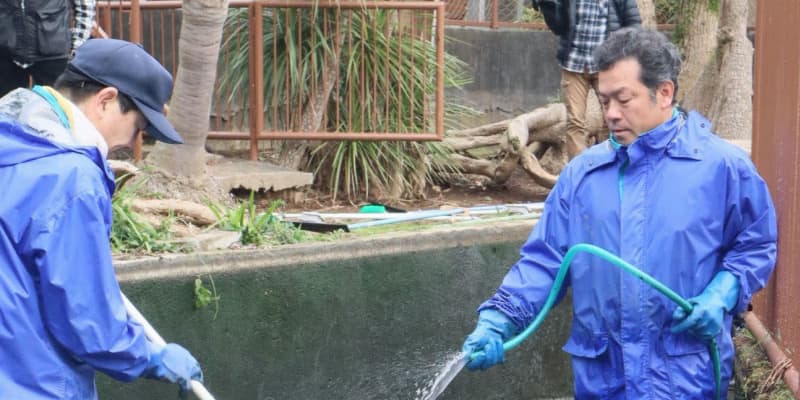 年末の池大掃除、ワニもきれいに　静岡・東伊豆の動植物園