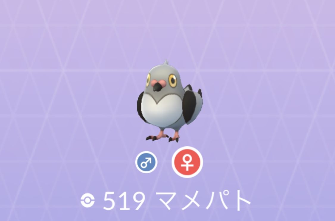 ポケモンgo No 519 マメパト入手方法 色違いと弱点 対策 大人のポケモン再入門ガイド