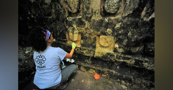 メキシコ東部でマヤ文明の宮殿発見、1000年余り前に居住か