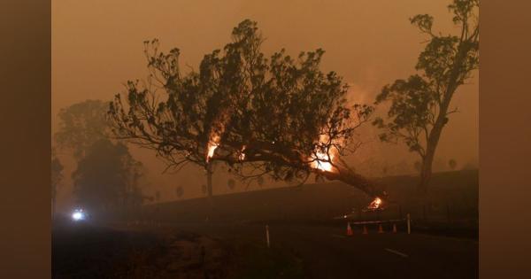 豪森林火災、首相が20億豪ドルの復興予算を表明